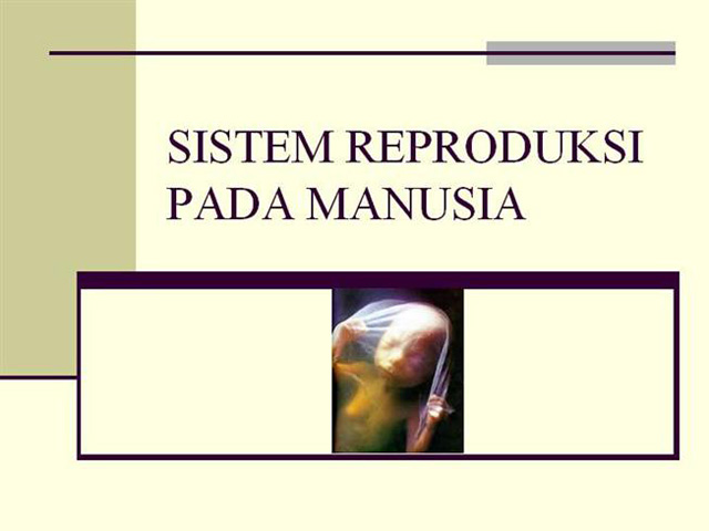 Menganalisis sistem reproduksi